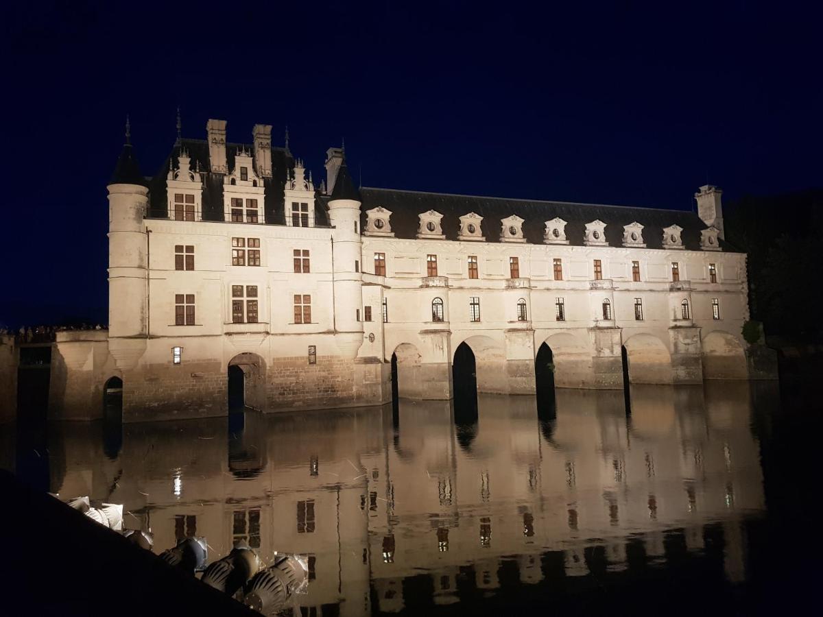 18 Chateaux Et Beauval Sur Un Rayon De 30 Km Saint-Georges-sur-Cher Eksteriør billede