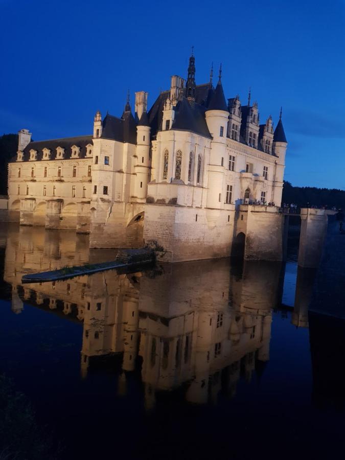18 Chateaux Et Beauval Sur Un Rayon De 30 Km Saint-Georges-sur-Cher Eksteriør billede