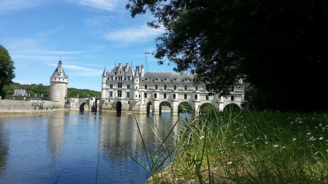 18 Chateaux Et Beauval Sur Un Rayon De 30 Km Saint-Georges-sur-Cher Eksteriør billede